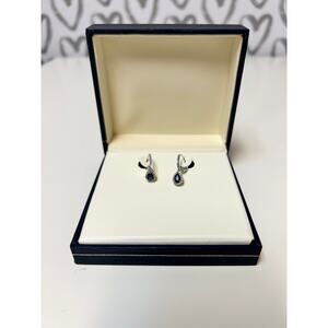 Stirling Silver Blue Diamond Earrings